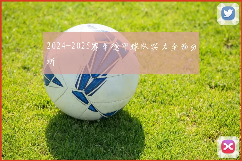 2024-2025赛季德甲球队实力全面分析