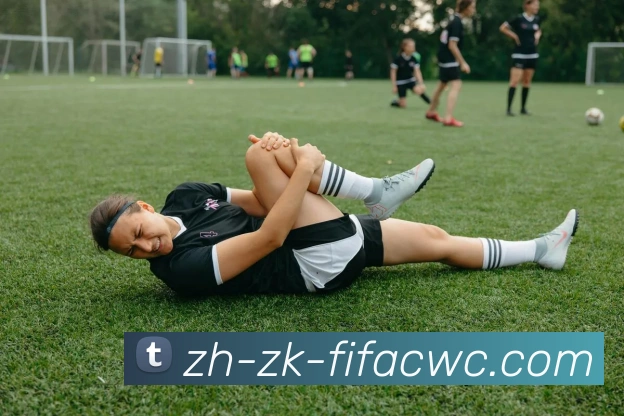 世界杯在线观看品牌故事